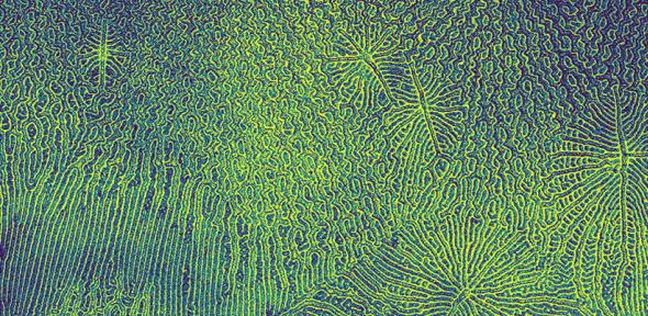 Confocal microscopy image of a chiral semiconductor