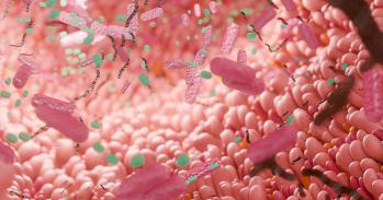 Intestine with microbiome