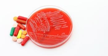 A Petri dish with a culture of the Superbug Acinetobacter baumannii next to antibiotics 